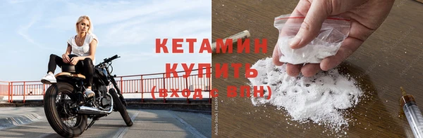 крисы Липки