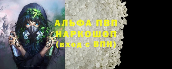 крисы Липки