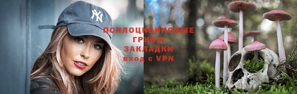 дживик Кинешма