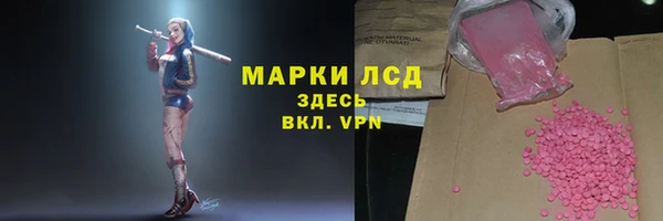 крисы Липки
