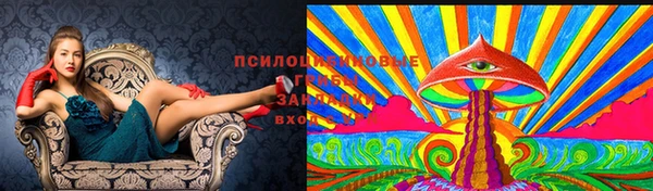 герыч Кострома
